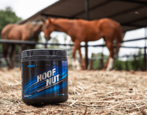 hoofnut suplemento para el casco piel cabello de caballos equinos