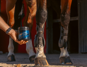 condroflex suplemento protector de articulaciones en caballos cuidado muscular y esguinces
