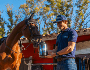 aminomuscle suplemento para caballos en competencia cuadreras mejora el rendimiento potencia anabólicos