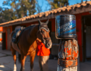 suplemento ansiolítico para caballos nerviosos neurocalm ansiosos equinos