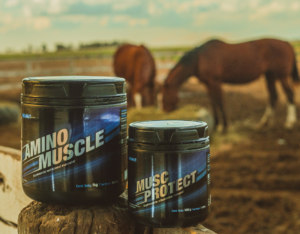 muscprotect suplemento para caballos equinos, mejora recuperación