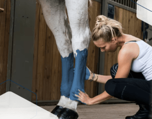 icenut barro equino bálsamo previene lesiones