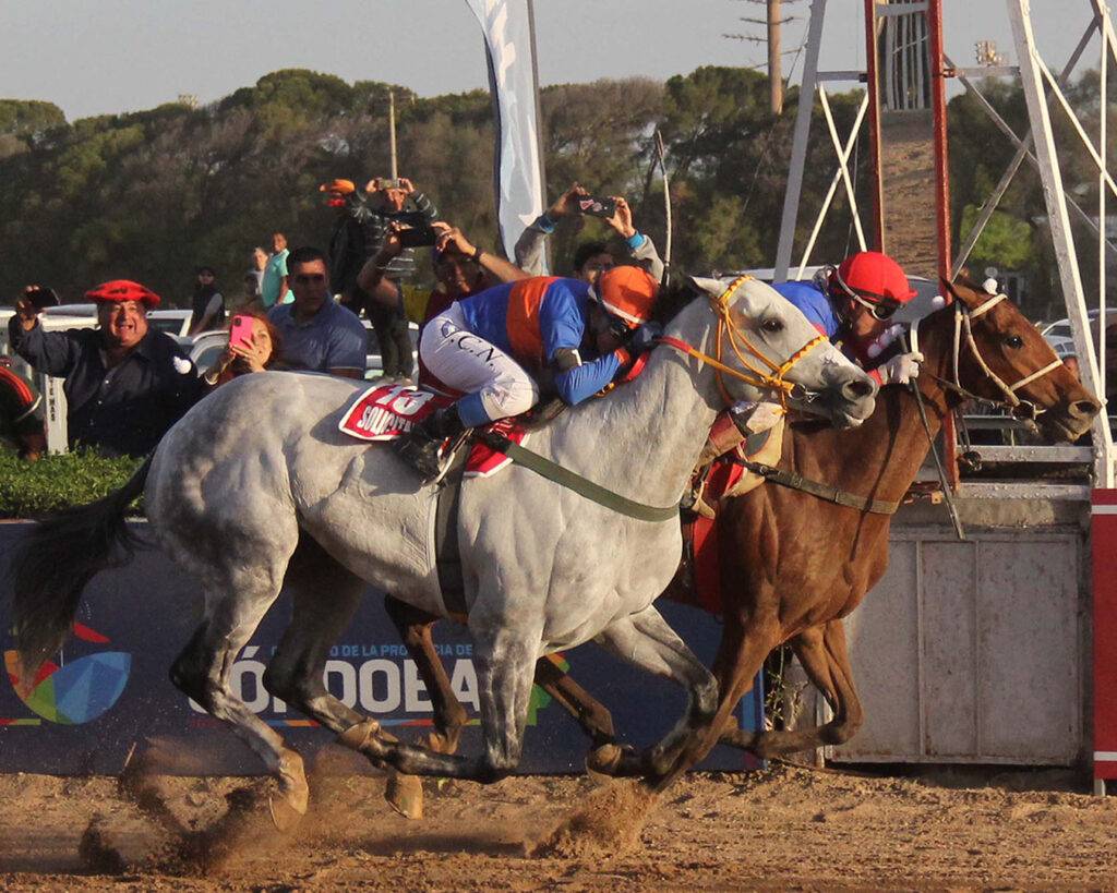 Tamarisco Cat gana el Clásico San Jerónimo 2025 en el Hipódromo de Córdoba