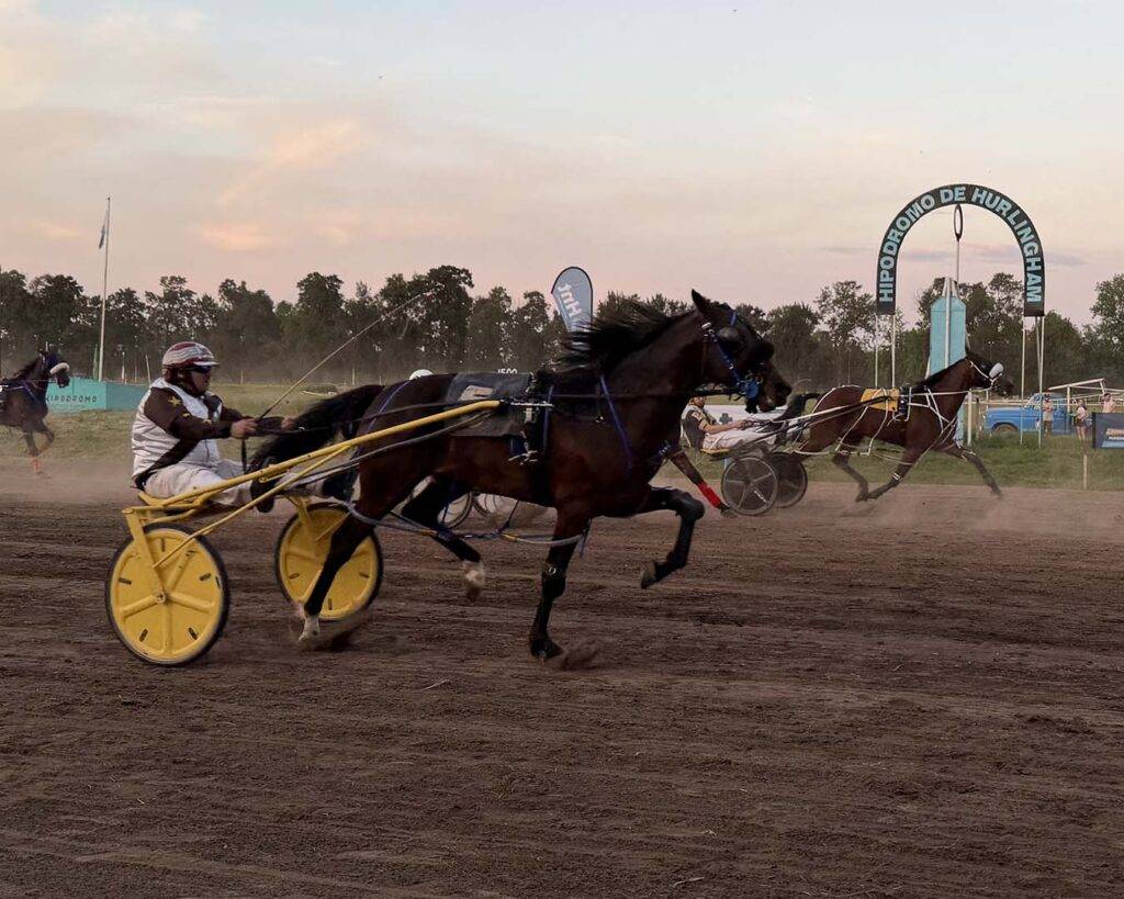 Chucaro Mel Nonna hnt