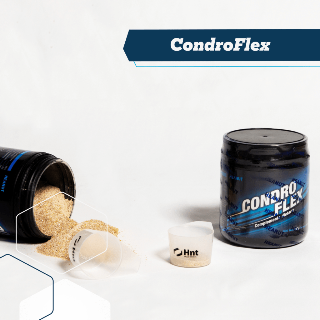 condroflex suplemento protector de articulaciones en caballos cuidado muscular y esguinces