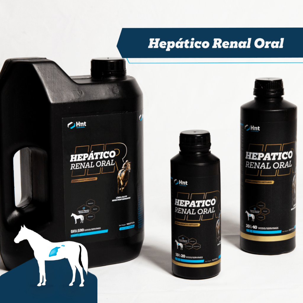 hepatico renal oral protege higado riñones sistema digestivo caballos equinos