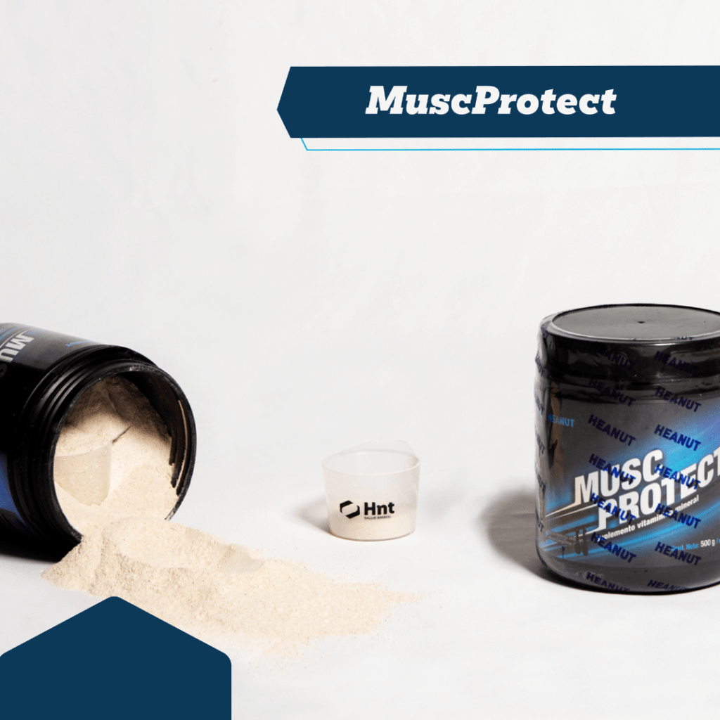 muscprotect suplemento para caballos equinos, mejora recuperación