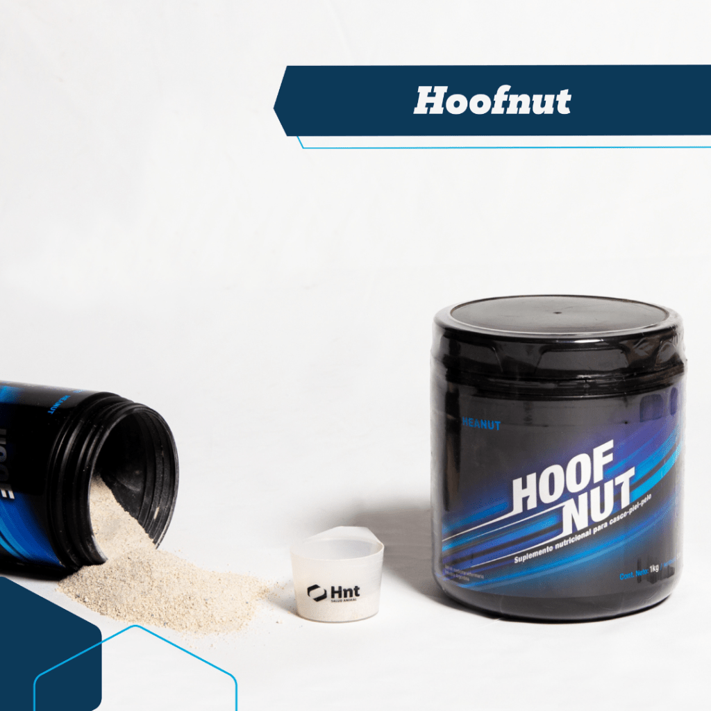 hoofnut suplemento para el casco piel cabello de caballos equinos