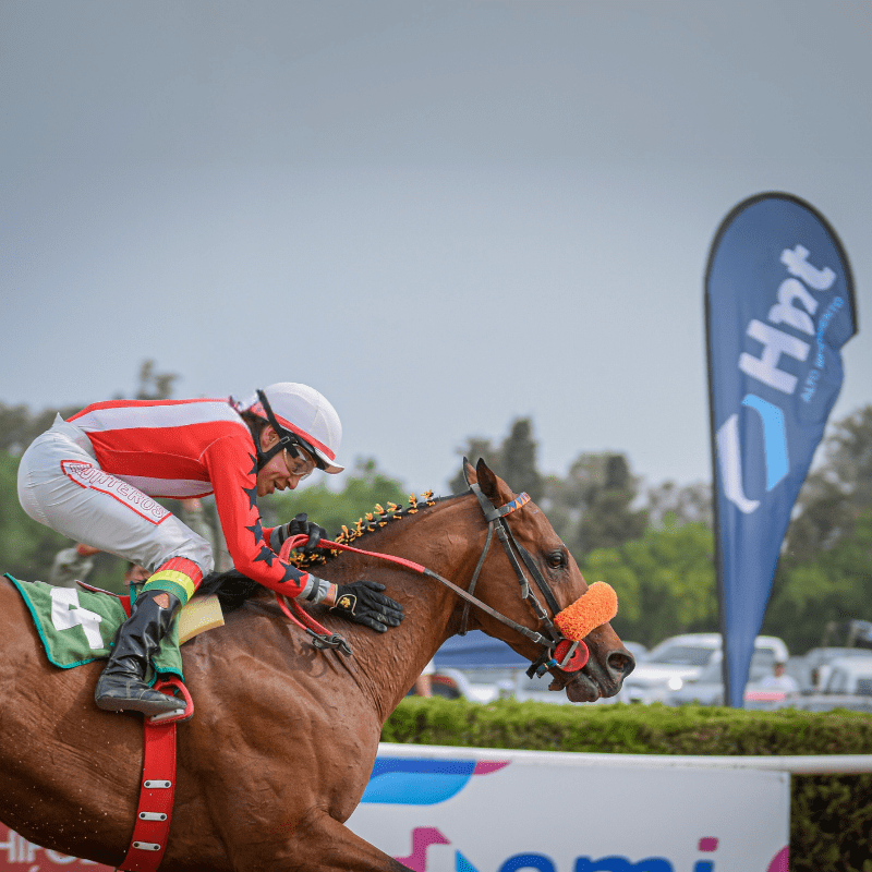 ganador de carrera de caballos con productos hnt