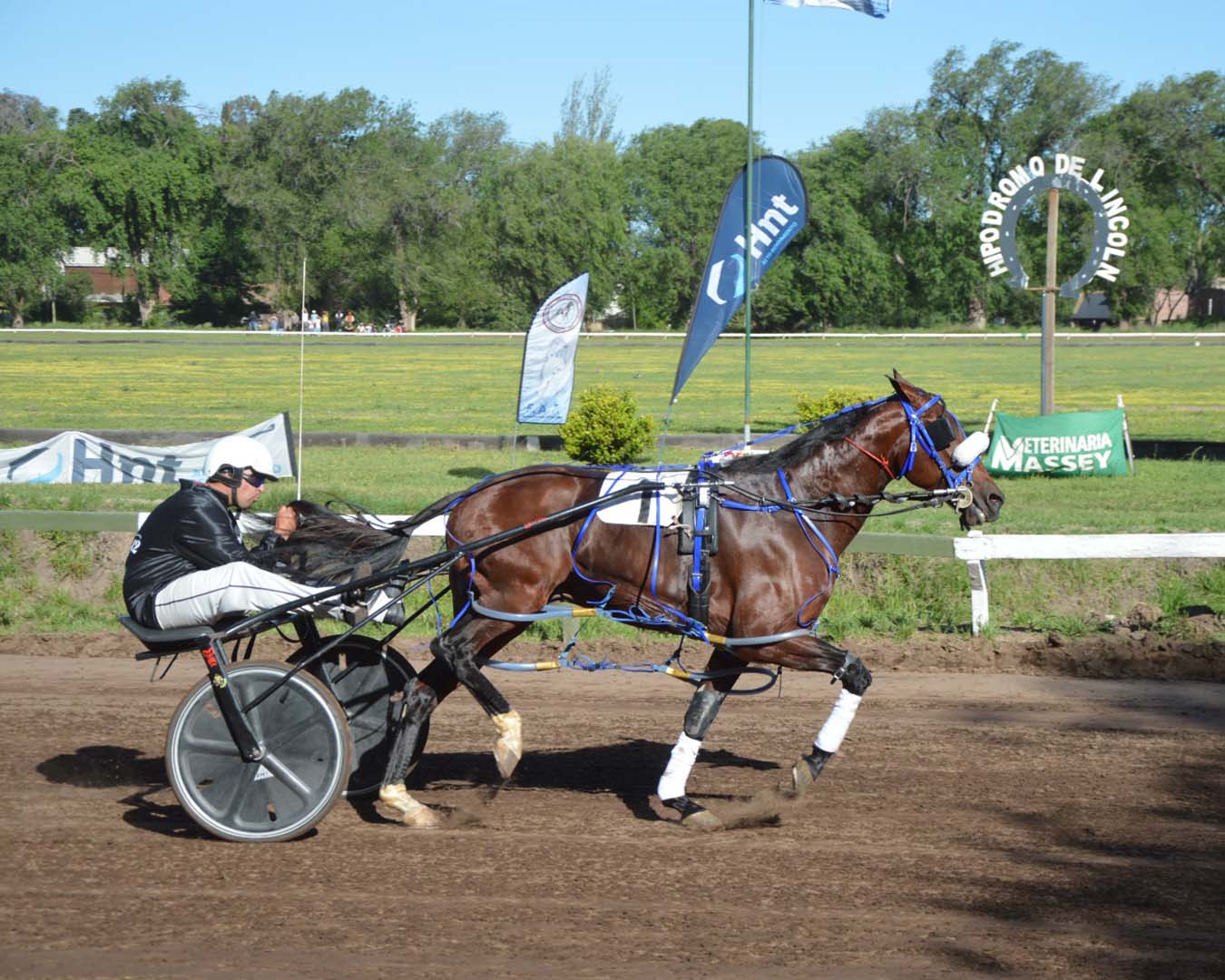 Gora Look Sucinta Gran Premio Nacional F.A.T.