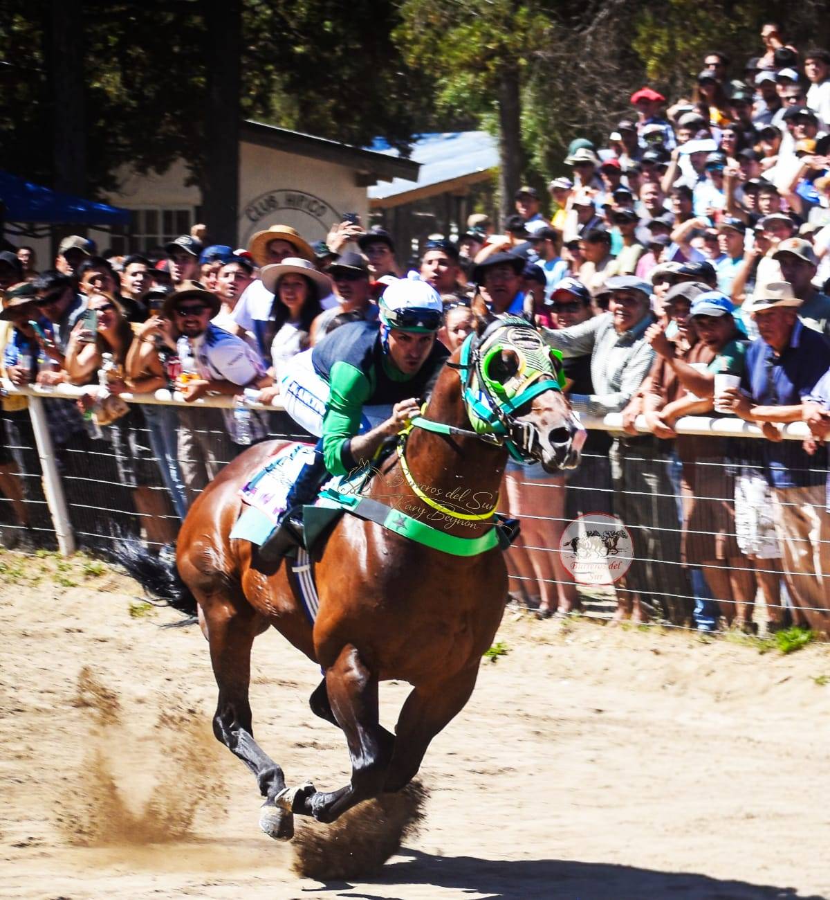 Laboratorio HNT en el Hipódromo El Bolsón Río Negro - Clásico Fiesta Nacional del Lúpulo