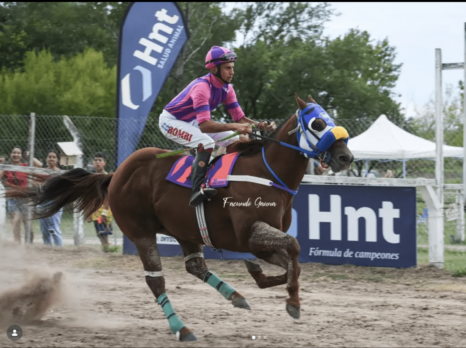 HNT Laboratorio equinos - Captura de pantalla 2026 03 09 a la(s) 17.42.03