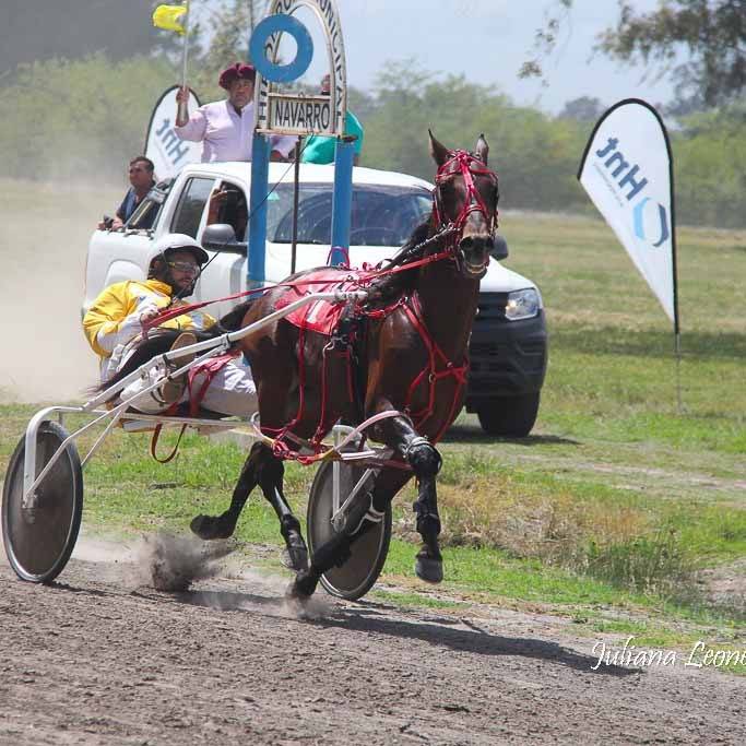 Jornada de trote en el Hipódromo de Navarro - Laboratorio HNT presente en los grandes clásicos