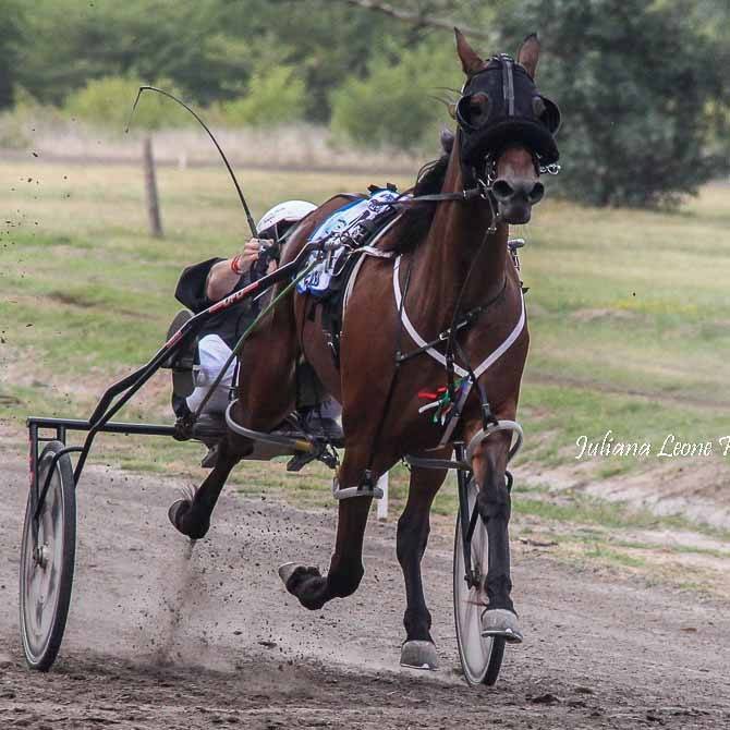 Chúcaro Mel Leal ganador del Clásico HNT en Navarro con Mariana Urdangarín - stud José Urdangarín