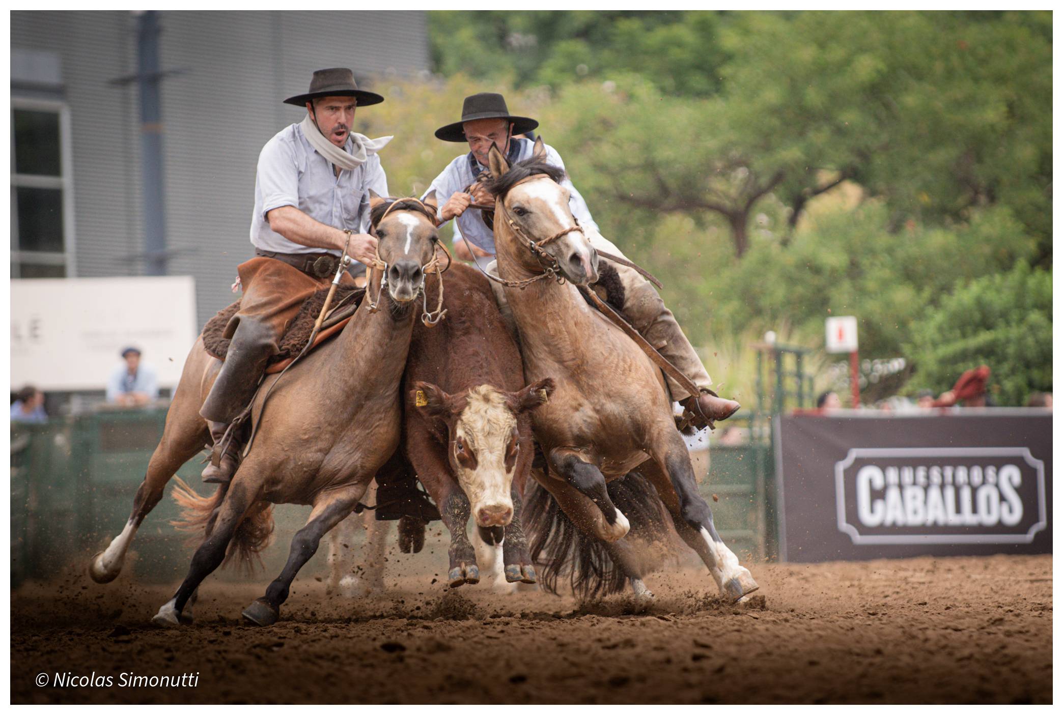 Accion ecuestre en Nuestros Caballos 2026 Expo Rural Buenos Aires