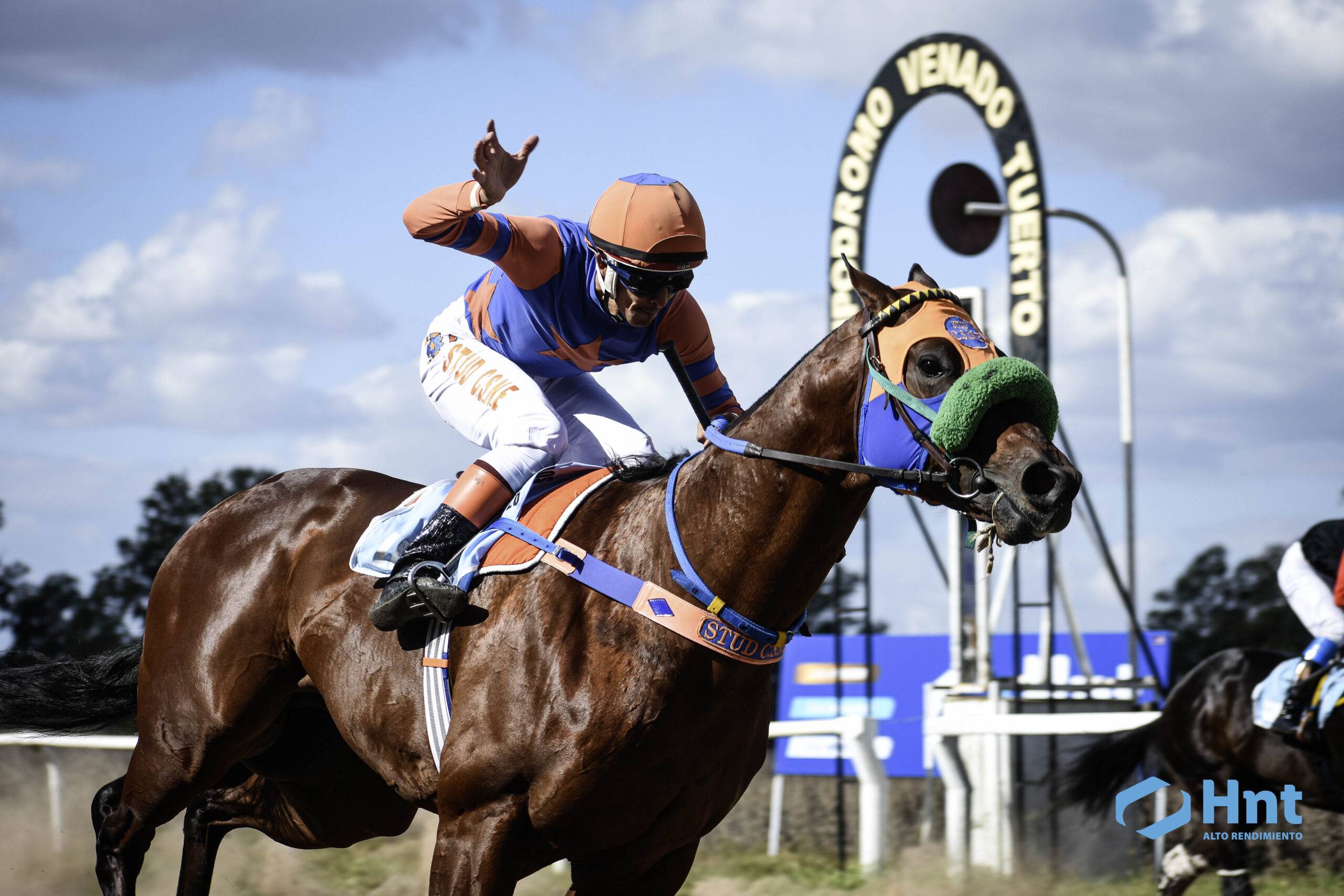 El Pura Sangre cruzando el disco en el Hipódromo de Venado Tuerto - Polla de Potrillos 700m