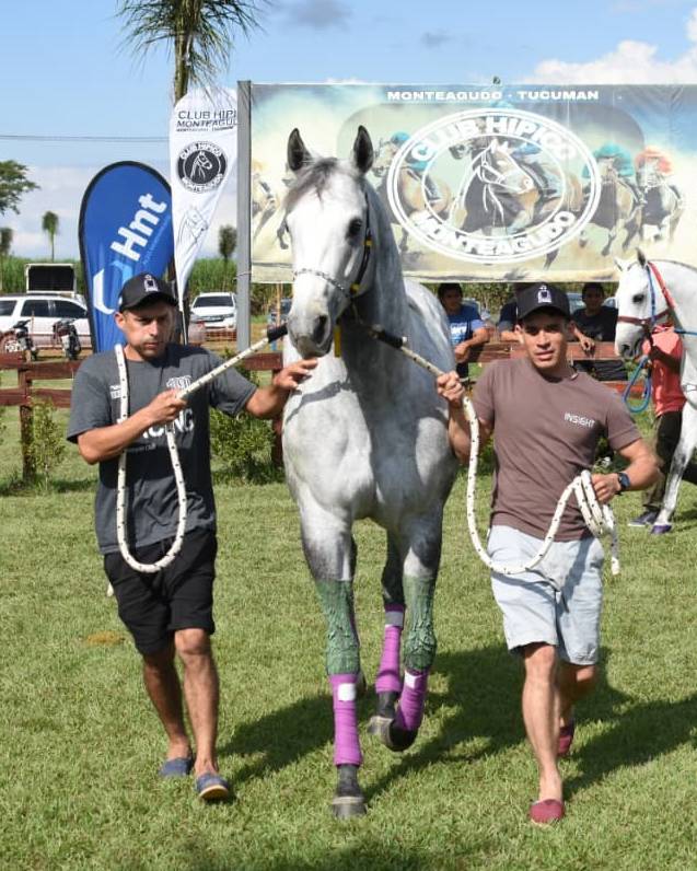 Viento Blanco vuela en el Clásico de 315 metros del Hipódromo de Monteagudo Tucumán