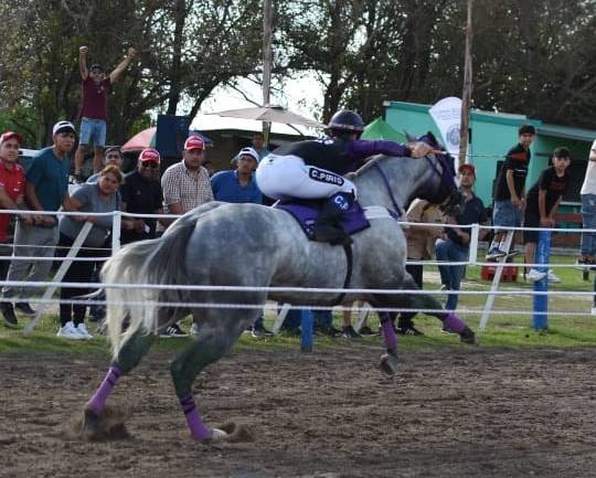 Viento Blanco impone condiciones en la recta tucumana - Stud El Checo de La Para