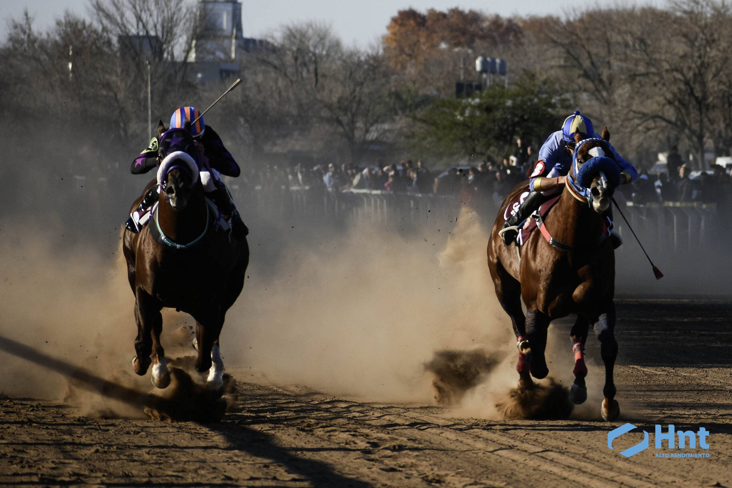 Botucatu Pass superando a su rival en los 600 metros del Gran Clasico Interprovincial SPC en el Jockey Club Villa Elisa