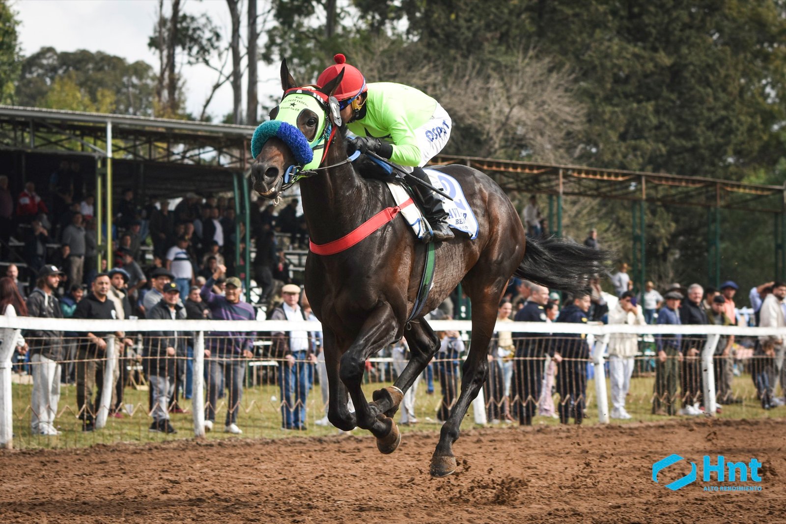 Avivador galopando frente a las tribunas colmadas del Hipódromo de Villaguay en la recta final