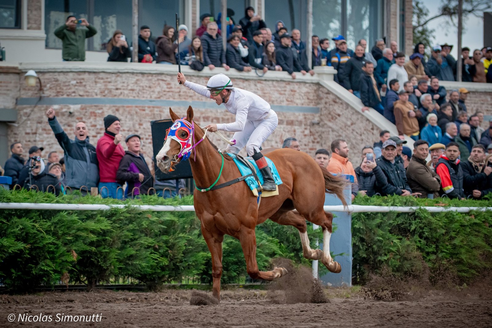 Claro Key cruza el disco al ganar el Clásico Boero en el Jockey Club San Francisco conducido por Mauricio Villaruel