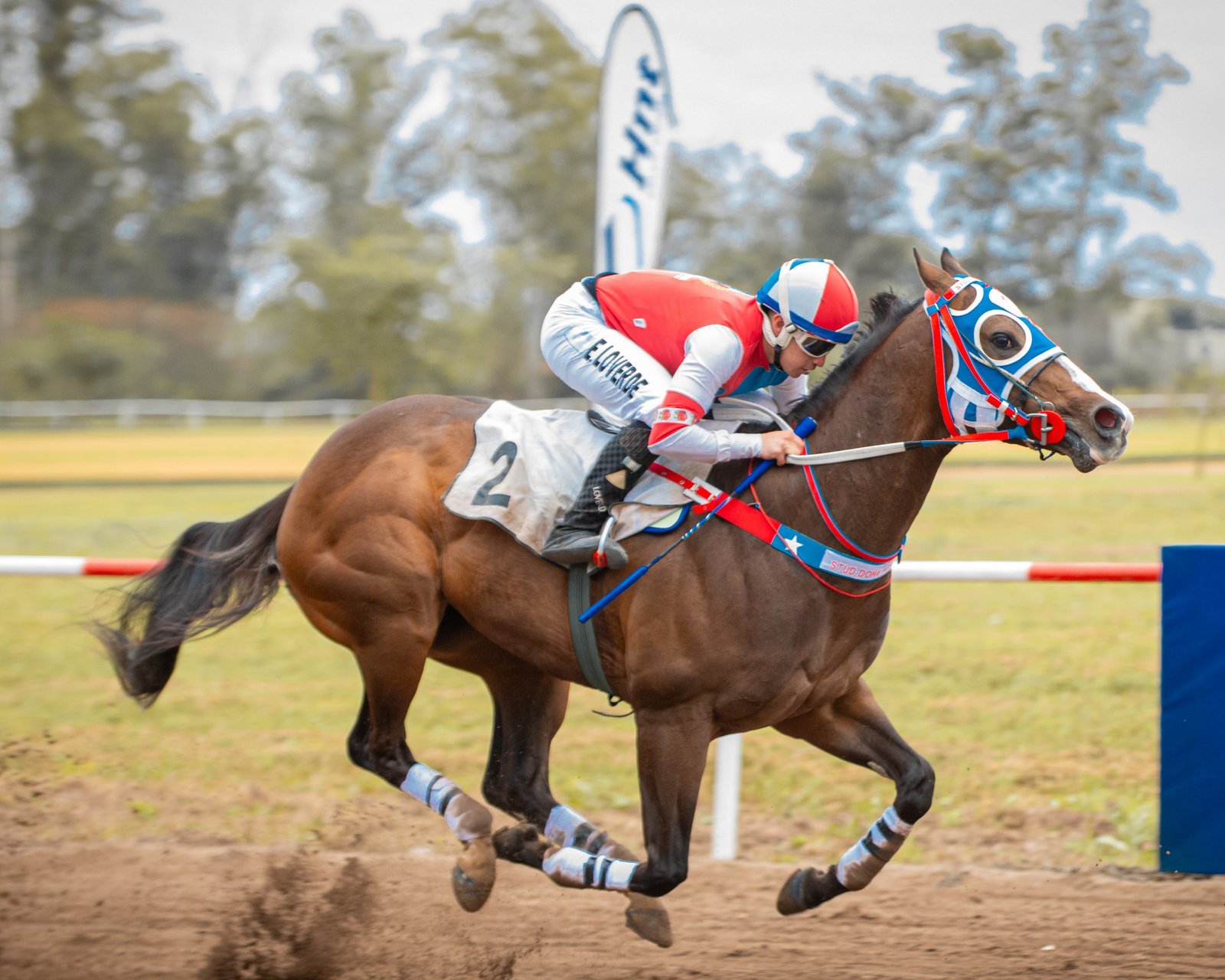 Ejemplar y jockey en plena acción en la pista del Jockey Club San Francisco durante la jornada de la Copa HNT San Francisco