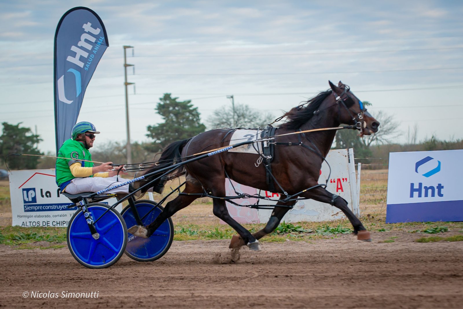 Gora Mel Sensato en carrera durante el Premio Laboratorio HNT – Fórmula de Campeones en el Hipódromo de Devoto