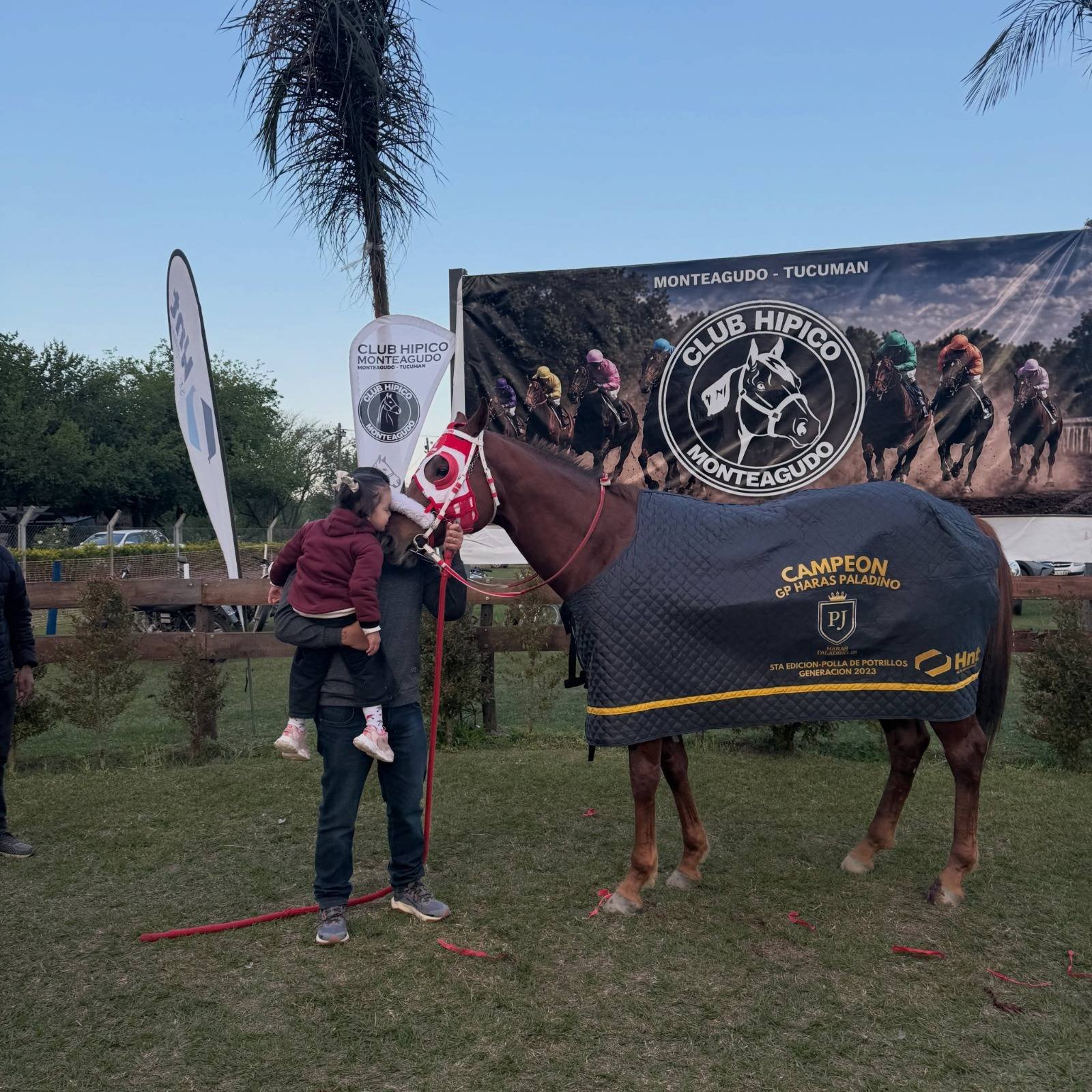El Yanke, campeón del Gran Premio Haras Paladino, con la manta de campeón en el Club Hípico de Monteagudo
