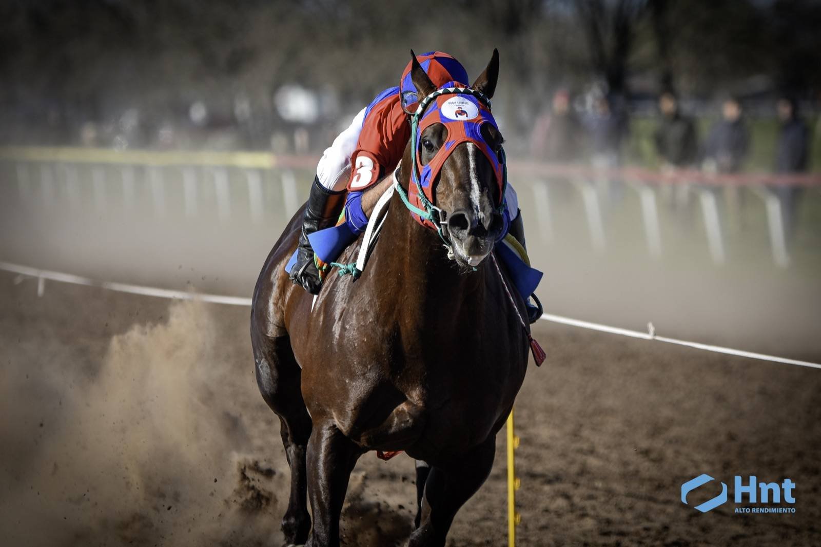 Comanche en pleno esfuerzo sobre la arena del Jockey Club Villa Elisa en el clásico de velocidad