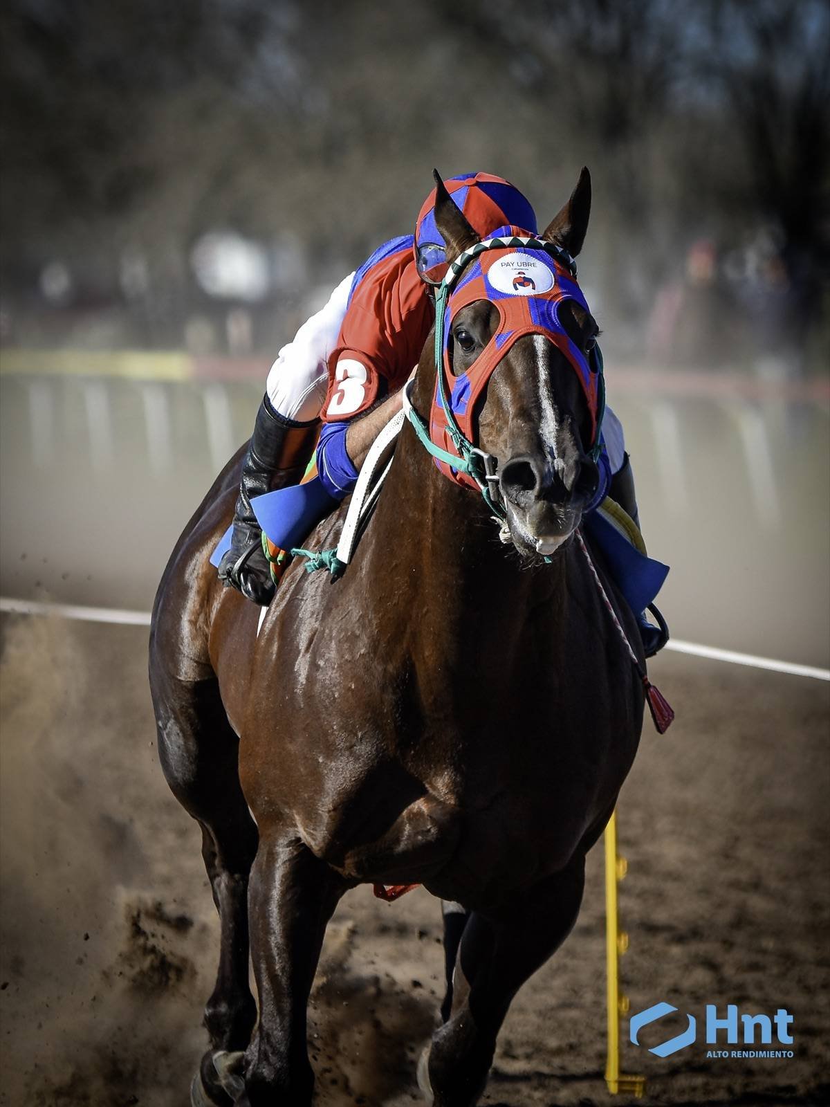 Comanche, del Stud Payubre, con la anteojera del stud en la definición del clásico en Villa Elisa