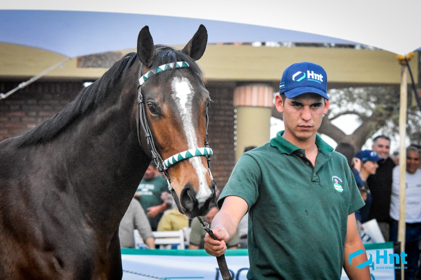 Ejemplar zaino con lista blanca presentado con gorra HNT en la Gran Venta Primavera de La Francia, Córdoba